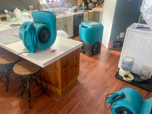 Best Mold removal after water damage  in North Cape May, NJ