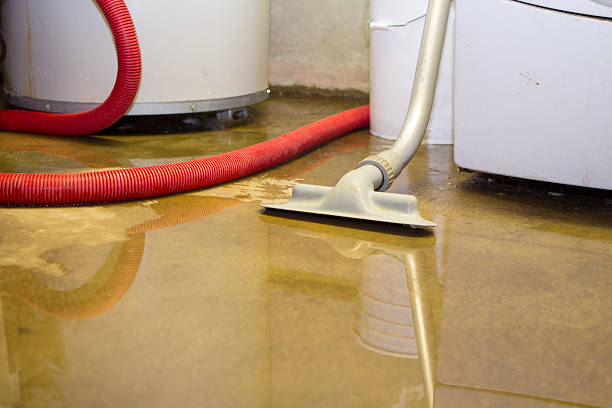 Best 24/7 water damage repair  in North Cape May, NJ