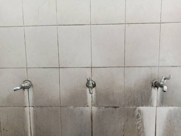Best 24/7 water damage repair  in North Cape May, NJ