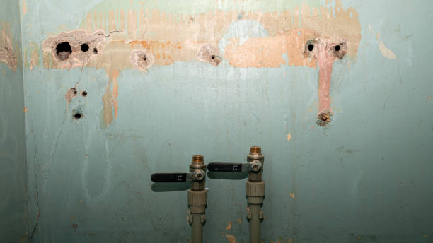 Water damage restoration experts in NJ